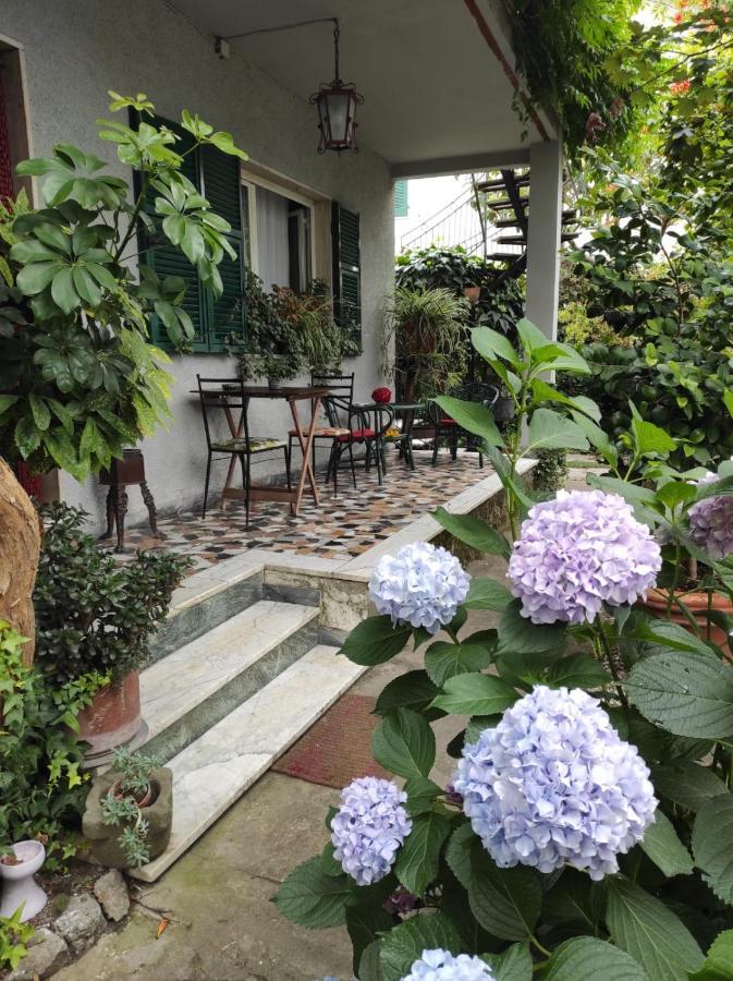 Bed and Breakfast Casa Cambini Марина-ді-Масса Екстер'єр фото